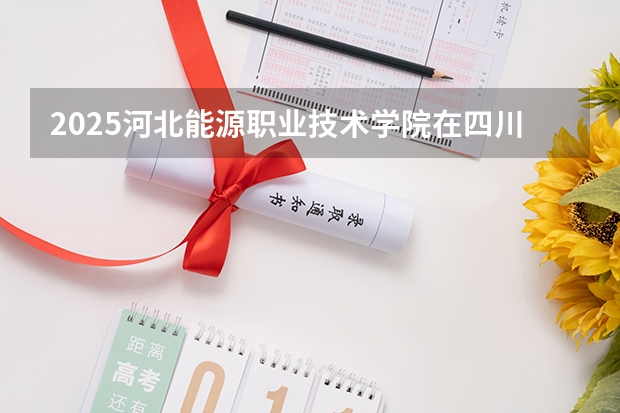 2025河北能源职业技术学院在四川招生计划一览表