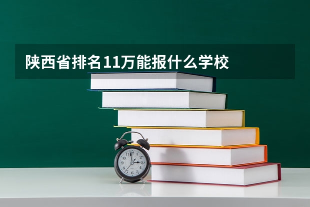 陕西省排名11万能报什么学校