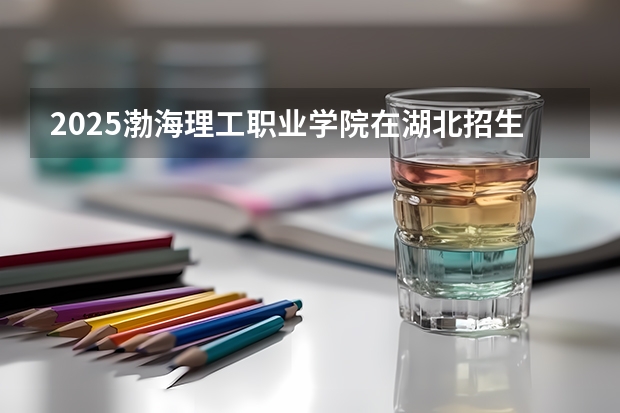 2025渤海理工职业学院在湖北招生计划一览表