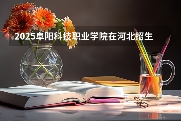 2025阜阳科技职业学院在河北招生计划一览表