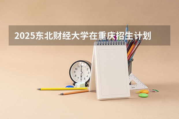 2025东北财经大学在重庆招生计划一览表