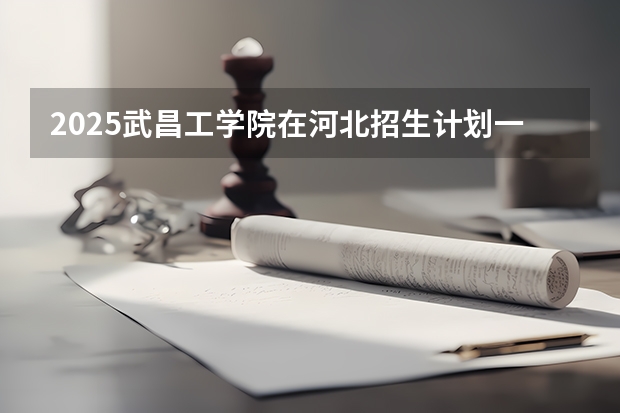 2025武昌工学院在河北招生计划一览表