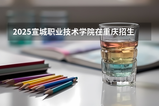2025宣城职业技术学院在重庆招生计划一览表