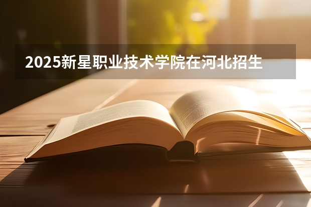 2025新星职业技术学院在河北招生计划一览表