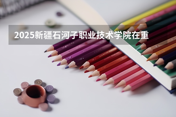 2025新疆石河子职业技术学院在重庆招生计划一览表