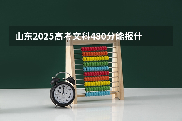 山东2025高考文科480分能报什么学校及专业