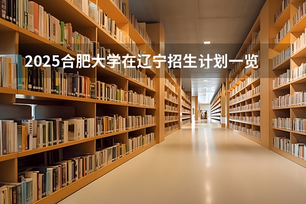 2025合肥大学在辽宁招生计划一览表