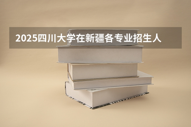 2025四川大学在新疆各专业招生人数一览