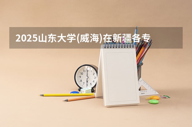 2025山东大学(威海)在新疆各专业招生人数一览