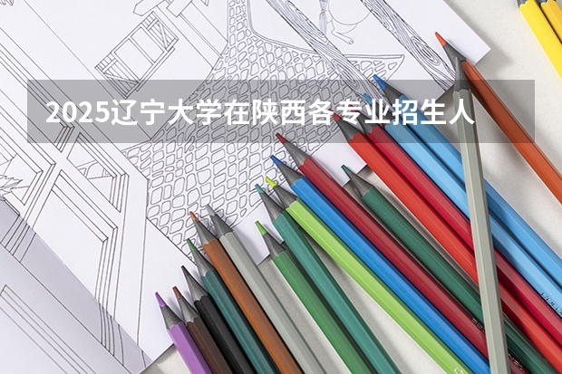 2025辽宁大学在陕西各专业招生人数一览