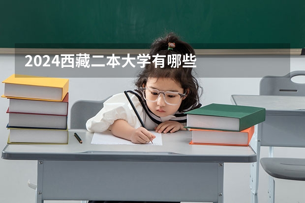 2024西藏二本大学有哪些