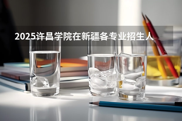 2025许昌学院在新疆各专业招生人数一览