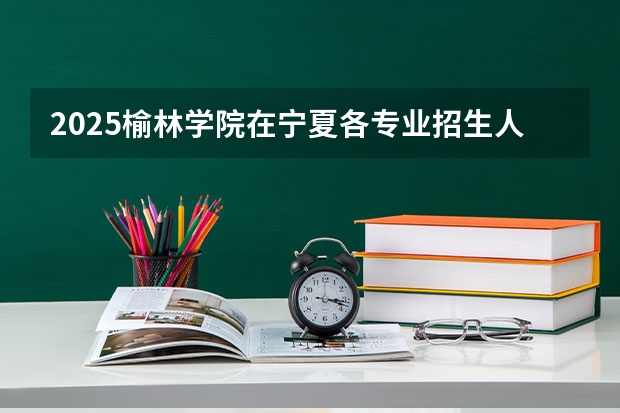 2025榆林学院在宁夏各专业招生人数一览
