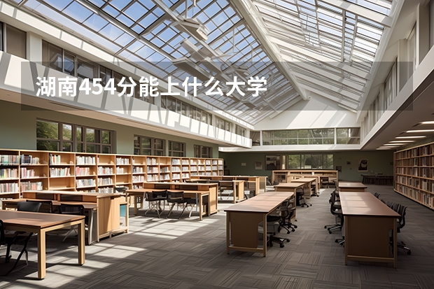 湖南454分能上什么大学