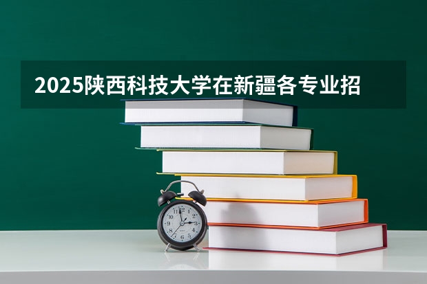 2025陕西科技大学在新疆各专业招生人数一览