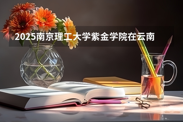2025南京理工大学紫金学院在云南各专业招生人数一览