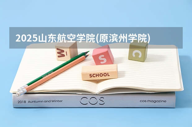 2025山东航空学院(原滨州学院)在陕西各专业招生人数一览