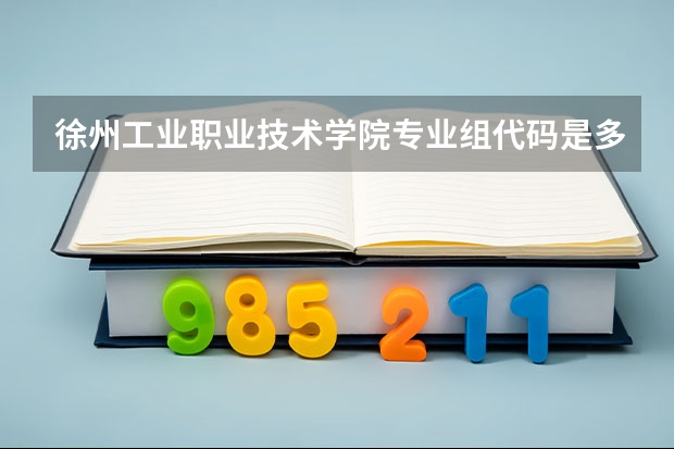 徐州工业职业技术学院专业组代码是多少