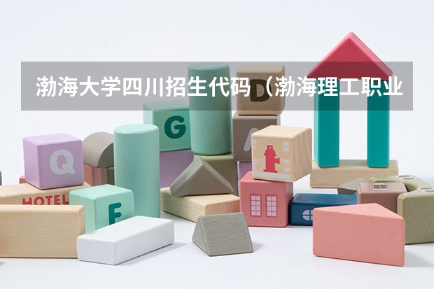 渤海大学四川招生代码（渤海理工职业学院代码）