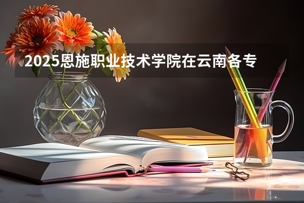 2025恩施职业技术学院在云南各专业招生人数一览