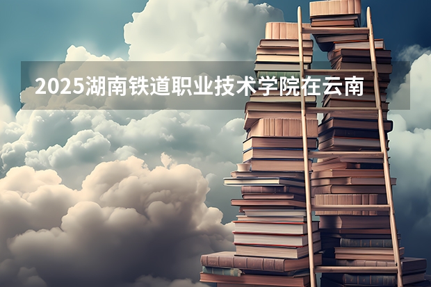 2025湖南铁道职业技术学院在云南各专业招生人数一览