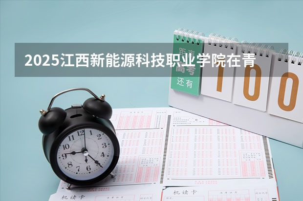 2025江西新能源科技职业学院在青海各专业招生人数一览
