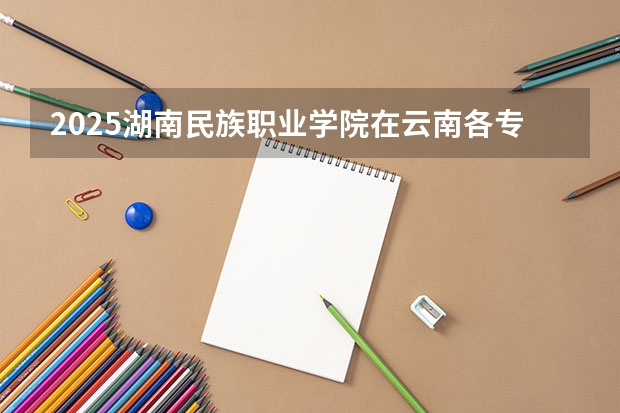 2025湖南民族职业学院在云南各专业招生人数一览