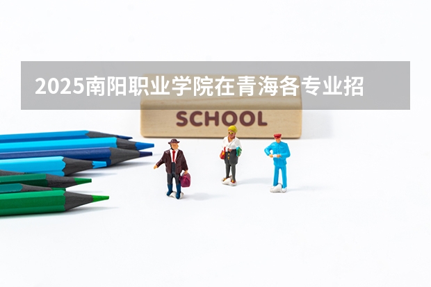 2025南阳职业学院在青海各专业招生人数一览