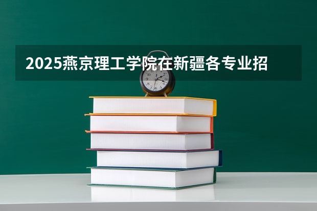 2025燕京理工学院在新疆各专业招生人数一览