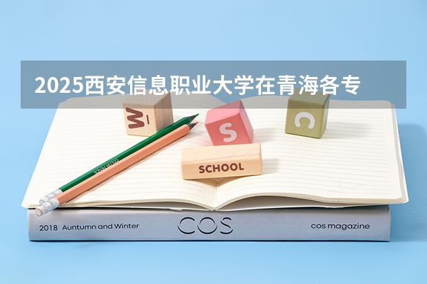 2025西安信息职业大学在青海各专业招生人数一览