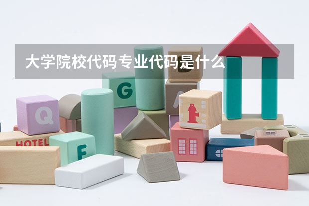 大学院校代码专业代码是什么