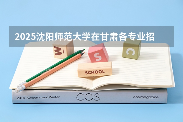 2025沈阳师范大学在甘肃各专业招生人数一览