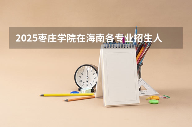 2025枣庄学院在海南各专业招生人数一览