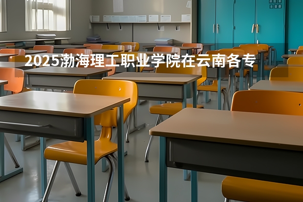 2025渤海理工职业学院在云南各专业招生人数一览