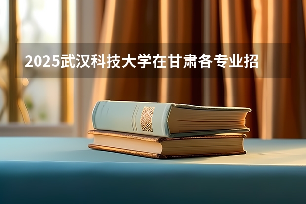 2025武汉科技大学在甘肃各专业招生人数一览