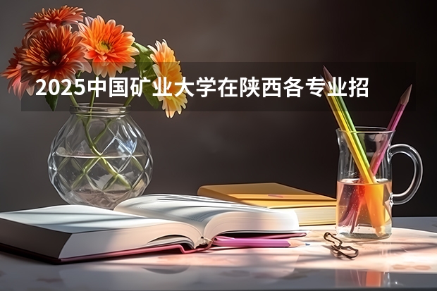 2025中国矿业大学在陕西各专业招生人数一览