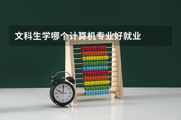 文科生学哪个计算机专业好就业