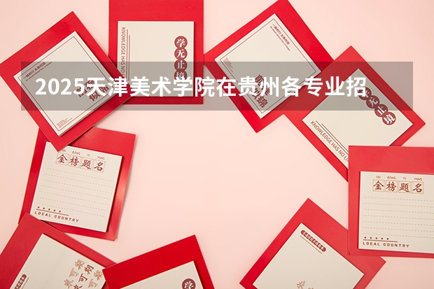 2025天津美术学院在贵州各专业招生人数一览（2026参考）
