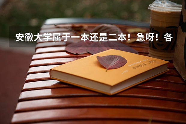安徽大学属于一本还是二本！急呀！各位帮帮忙呀！（安徽大学是一本还是二本？）