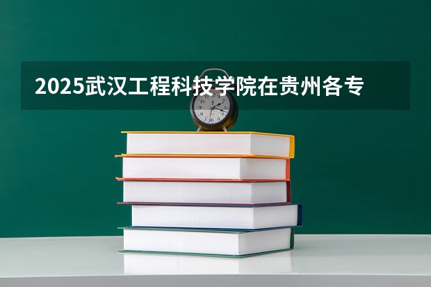 2025武汉工程科技学院在贵州各专业招生人数一览（2026参考）