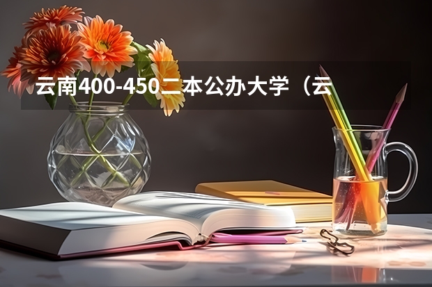 云南400-450二本公办大学（云南二本院校排名）