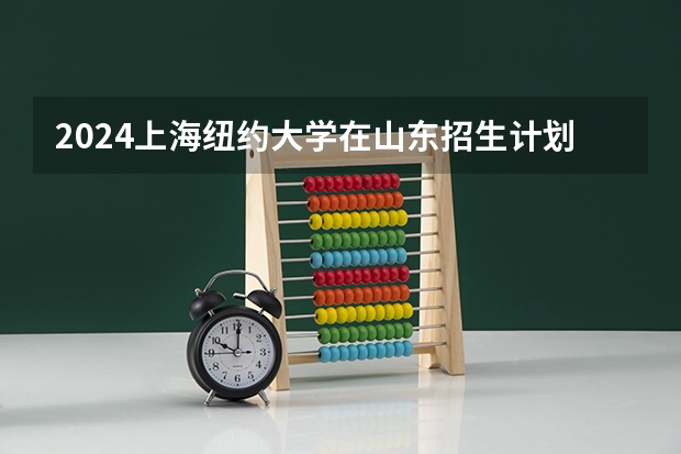 2024上海纽约大学在山东招生计划详解