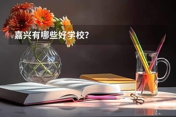 嘉兴有哪些好学校？