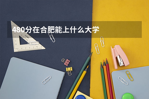 480分在合肥能上什么大学
