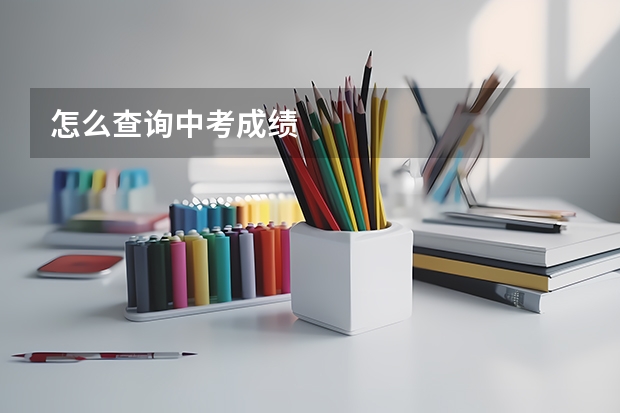 怎么查询中考成绩